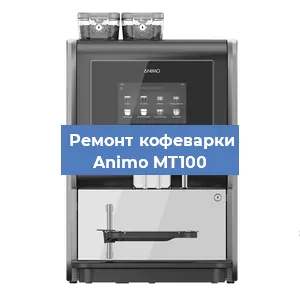Замена фильтра на кофемашине Animo MT100 в Нижнем Новгороде